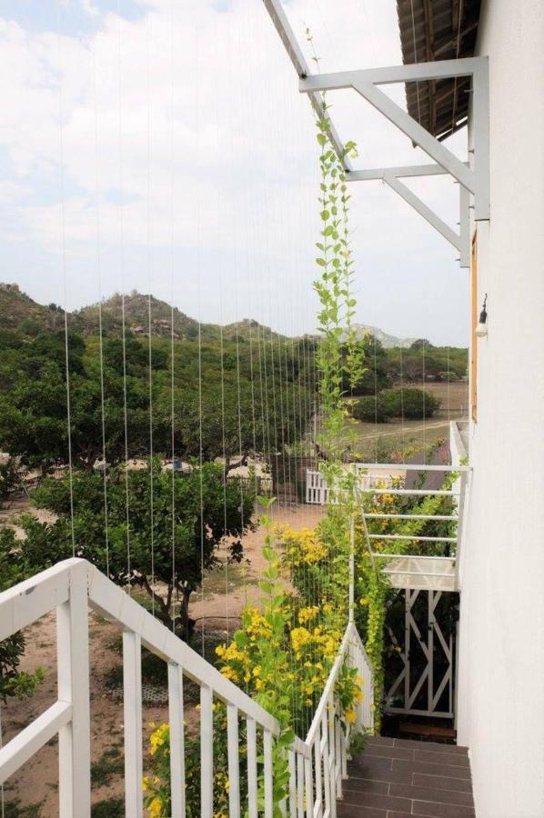 Villa Dao Hoa Vang Cam Ranh - Venuestay Εξωτερικό φωτογραφία